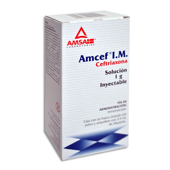 AMCEF I.M. 1G C1 AMP